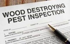 Wood Destroying Pest Inspections Toledo, Ohio