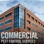 Commercial Pest Control Services in Toledo, Ohio