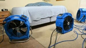 Heat Treatment for Bed Bugs